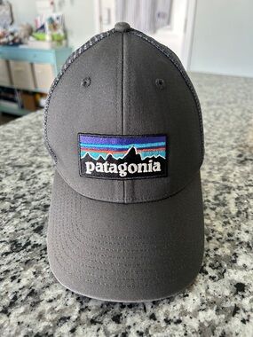 Patagonia Gray Trucker Hat with Multicolor Mountain Patch